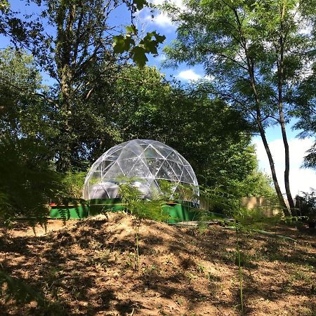 Bulle Etoilee En Nature Landaise Saint-Sever  Exterior foto