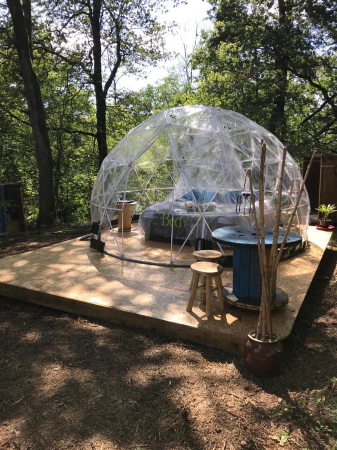 Bulle Etoilee En Nature Landaise Saint-Sever  Exterior foto
