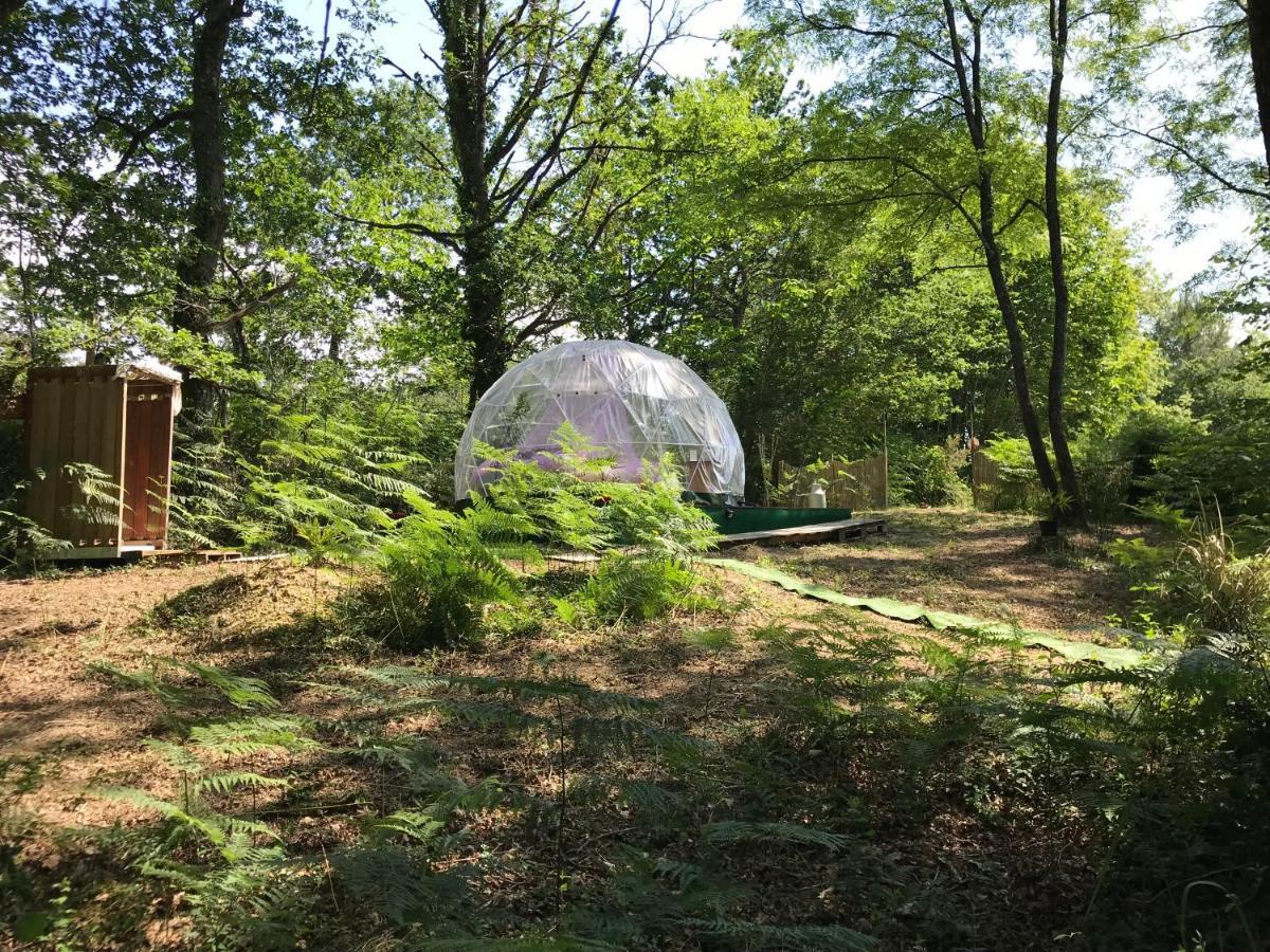Bulle Etoilee En Nature Landaise Saint-Sever  Exterior foto